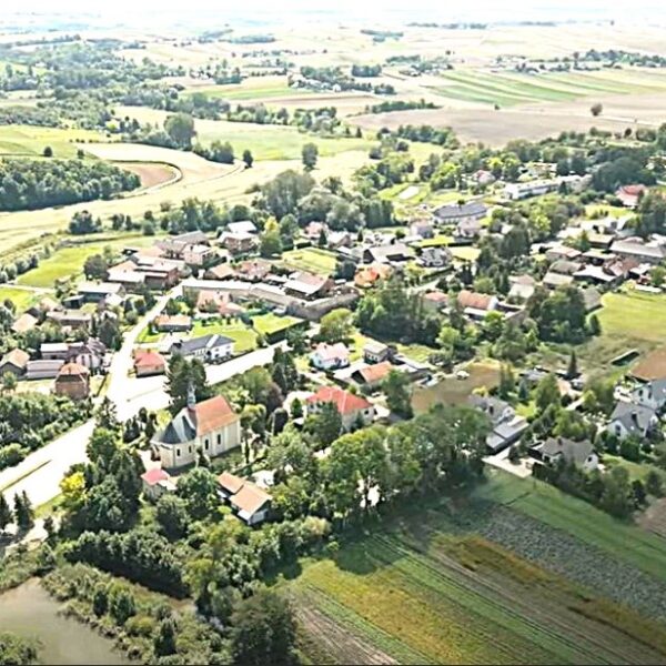 w 1937 roku o Radziemicach pisali